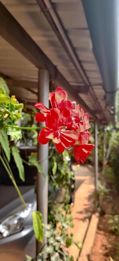 Westernghats Homestay Madikeri Esterno foto